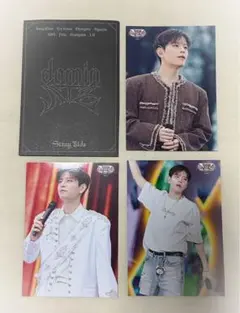 StrayKids/スンミン/ラントレ/dominATE/VR/トレカ/SKZ