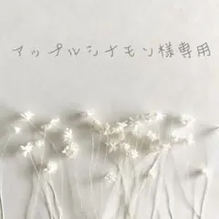 ❁︎ アップルシナモン様専用ページ❁︎