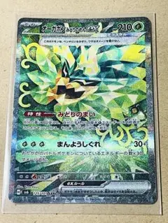 オーガポンみどりのめんex SAR sv6 変幻の仮面