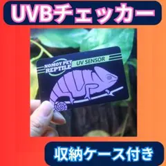 Item thumbnail for item 3c3bbc1e-59b7-4d8a-b645-5783f22d28e1