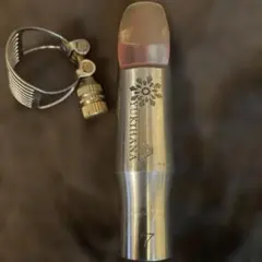 Item thumbnail for item 6aacd73d-eaec-41f9-bd0f-01218e6bb5f8