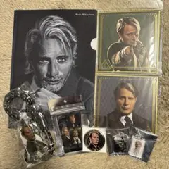 ファンタスティックビースト　ファンタビ　グリンデルバルド　マッツミケルセン