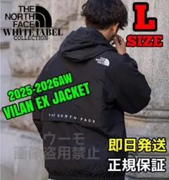THE NORTH FACE ヴィラン VILAN JACKET Lサイズ/