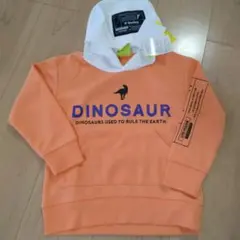 Item thumbnail for item acab4524-94ad-4ac8-8adb-738f8b4a7244