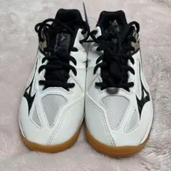 バレーボールシューズ新品未使用