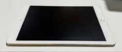 iPad Air2