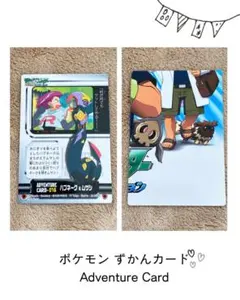 ポケモン ずかんカード アドバンスジェネレーション アチャモ ハルカ