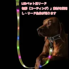 【USB充電式】光る犬用リード LED 7色マルチカラー 防水 散歩 夜間 黒