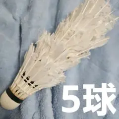 バドミントン 中古シャトル ヨネックス ニューオフィシャル 使用済 シャトル