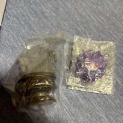 ポケモン　リトルナイトコレクション2　闇夜の小さないたずら　ゲンガー