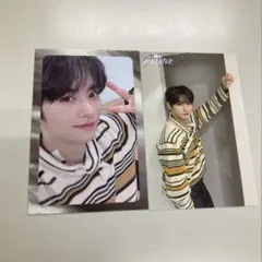 straykids スキズ リノ levanter レバンタ サノク トレカ Stray Kids スキズ LEVANTER レバンタ トレカ リノ 公式グッズ 5