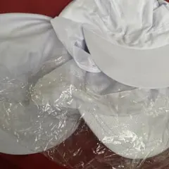 Item thumbnail for item d846a175-adca-4dfa-8f53-4004e336535b