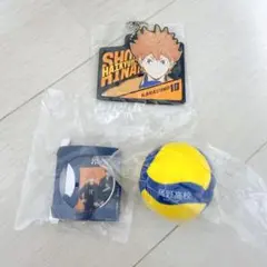 ハイキュー‼︎ MIKASA バレーボール　烏野高校