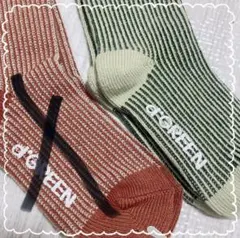 【F】d'GREEN キッズ靴下 在庫 グリーンのみ