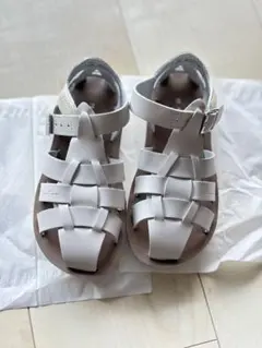 saltwater sandal shark 11