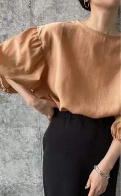 シアーボリュームスリーブトップス　select MOCA/by SON