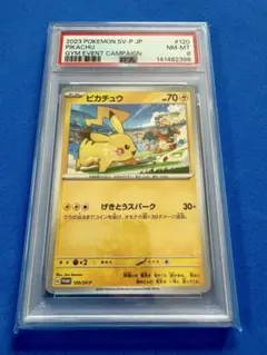 【PSA】ピカチュウ プロモ ジムイベントキャンペーン
