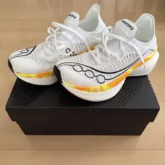 24.5