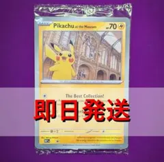 2026年最新】ロンドン ピカチュウの人気アイテム - メルカリ