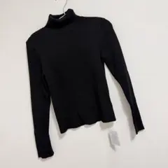 アプワイザーリッシェ 袖スリットタートルニット36