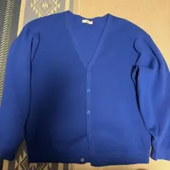 【廃盤/希少】 WEGO 青色 カーディガン