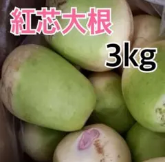 紅芯大根　3kg 静岡県産　即購入OK 時間指定可能のサムネイル