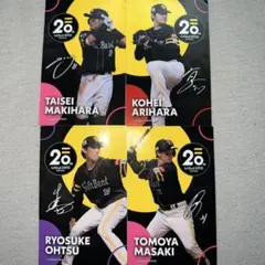 Item thumbnail for item d7fcb0c6-8136-45e4-8e6f-8526acafaad5