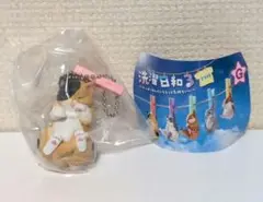 洗濯日和３ エキゾチックショートヘア