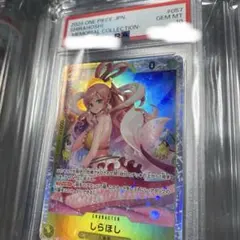 2026年最新】しらほし psa10の人気アイテム - メルカリ