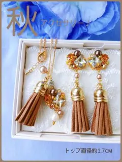 送料込【B級品】秋♪先取り♡縦長タッセル♪イヤーアクセ&ネックレスセット