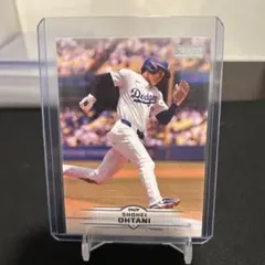 Item thumbnail for item 07ce4f48-60a4-4aed-a64c-1073aaac1b5a