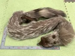 レディース襟巻き ラクーン襟巻き ストール マフラー