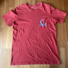パタゴニア　Tシャツ　フライングフィッシュ