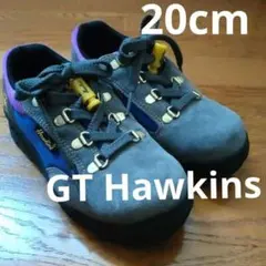 【未使用】GT Hawkins 20cmのサムネイル