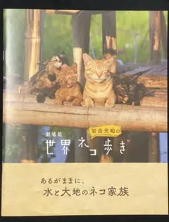 Item thumbnail for item 24f1280b-6bbc-4d5d-ada7-e8fd74f2e23f