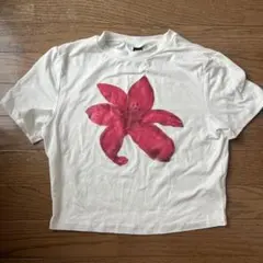 花柄プリント 半袖Tシャツ ホワイト　SHEIN