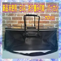 Item thumbnail for item 106061bd-b071-4e51-a740-28149c7a49c7