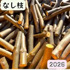 Item thumbnail for item 940e9fe9-0f8e-4c15-86a6-aecd14843911