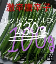 2026年最新】ホットパラソルEXの人気アイテム - メルカリ