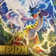 海外公式 ポケモンChampionships ゾロアークBREAK プレイマット - メルカリ