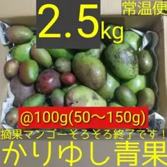 2026年最新】摘果マンゴーの人気アイテム - メルカリ