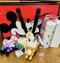 ディズニー　福袋　2026 ボトル　ぬいぐるみ