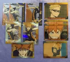 ハイキュー クリアカード 烏野