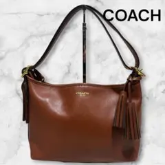 Coach ショルダーバッグ レザー BRW 総柄 F25396 3way - メルカリ