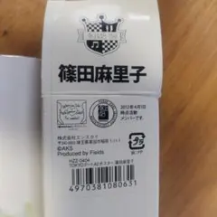 篠田麻里子 TOKYOデートA2ポスター