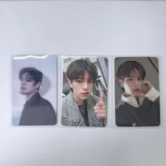 DO IT スンミン トレカ plve ver 封入特典 Stray Kids