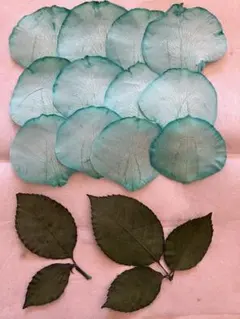 Item thumbnail for item 9aca6f9b-3b77-4c9c-95ee-b3bafe2b15b7