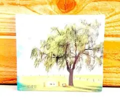 Item thumbnail for item 57d373e6-9f16-42e2-8e3a-f8b3e5c7803b