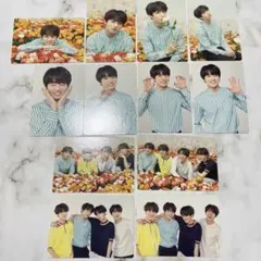BTS ジョングク LOVE YOURSELF ミニフォト コンプ