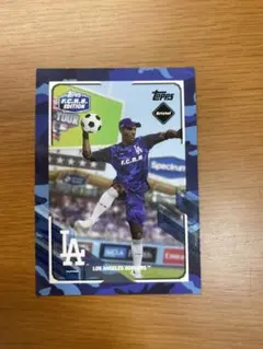 Item thumbnail for item 02ef4c2d-251d-427d-9885-f489d236323c